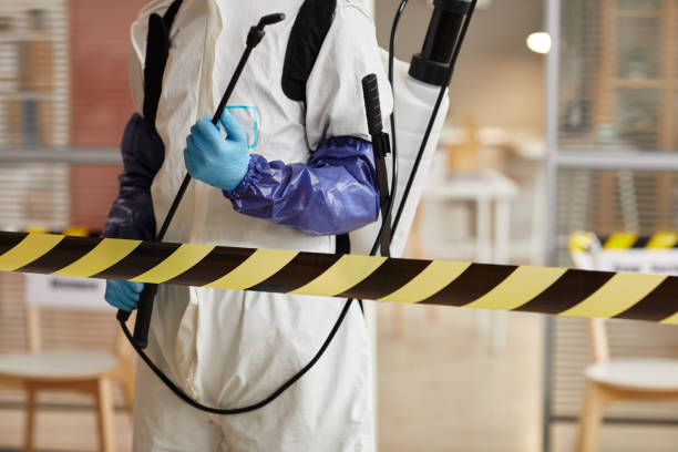 Professional Sewage Cleanup technician working in Saint Louisville, OH